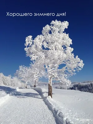 Хороших зимних выходных (Большое количество фото) - treepics.ru