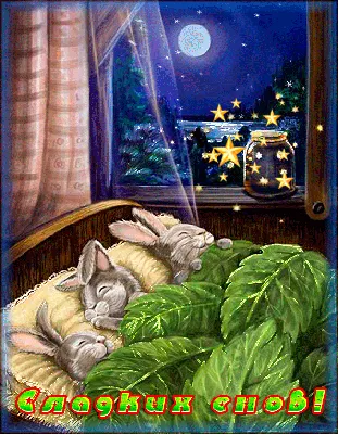 Пожелания спокойной ночи ― красивые слова для сладких снов