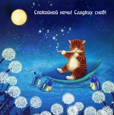 Доброй Ночи! Самое красивое пожелание спокойной ночи✨сладких снов!  Музыкальная видео открытка! - YouTube