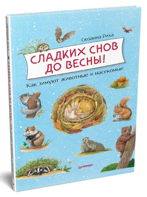 Сладких снов | Счастливые картинки, Котенок, Ночь