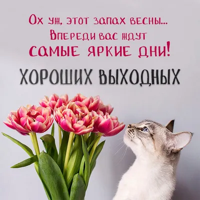 Открытка с субботой и хороших выходных