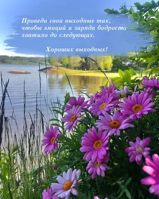 Хороших выходных | Выходные, Занятия для детского творчества