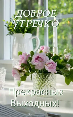 Росгидромет - Медведи всем шлют привет! Хороших выходных, друзья!  #Росгидромет #Арктика #Антарктика #медведи #выходные | Facebook