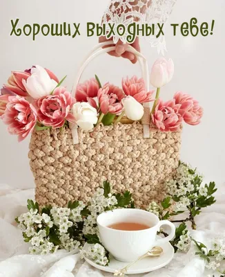 Доброе утро, Друзья!!! Хороших выходных ! | Instagram