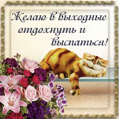 Всем хороших выходных!!! :: *MIRA* ** – Социальная сеть ФотоКто