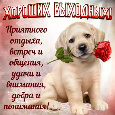Мебель \"Три пятерки\" - Всем хороших выходных!🤗🤗🤗 | Facebook