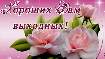 Доброе утро! Хороших выходных!#свыходными#доброеутро#выходные | TikTok