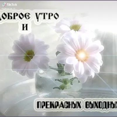 Хороших выходных ... | Пикабу