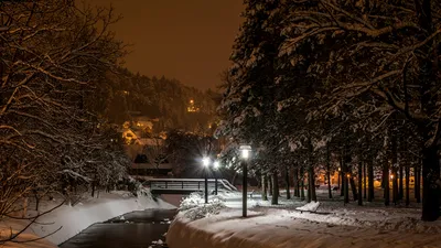 Картинки Загреб Хорватия Samobor Ель Зима снегу в ночи Уличные