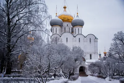 Храм Христа Спасителя зимой - фото №32 - Moscow Photos