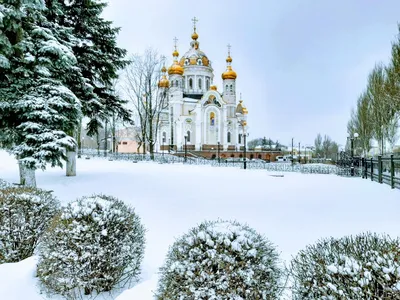 Смоленский скит зимой. Фото Сергея Гармашова. #валаам #церковь #монастырь  #православие #природа #пейзаж #зима #valaamonastery #church… | Instagram