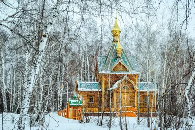 Японский храм зимой | Пикабу