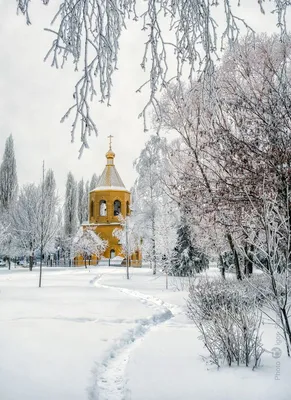 Москва, улица Варварка. Храм Знамения Божией Матери (Знаменский монастырь)  и палаты бояр Романовых зимой Photos | Adobe Stock