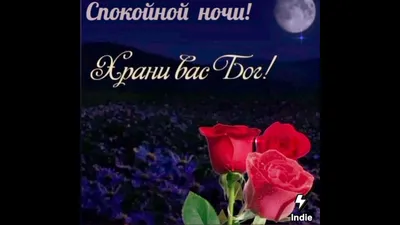 Богиня Гея ))) on X: \"@zhuchenya2015 Спасибо и Вам доброй ночи, храни Вас  Бог! https://t.co/pko2CuX8f8\" / X
