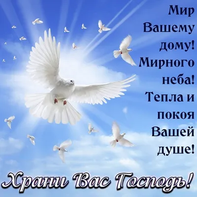 Храм Успіння Пресвятої Богородиці на Позняках - Доброе утро! Храни вас Бог,  наши братья и сестры во Христе! Пусть и сегодня и всегда в нашей группе  будет вам мирно и тепло,а может