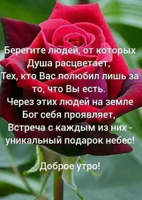 26 🌞Храни Вас Бог! Доброго осеннего утра! | Христианские картинки, Доброе  утро, Осень