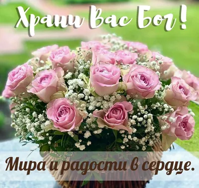 Храни Вас Бог, мои Друзья!!! 17.08.2022🙏🌹😘💋💖 | Открытки, Утренние  сообщения, Доброе утро