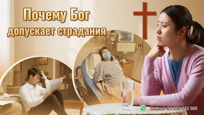 Православно-христианское вероучение или Догматическое богословие. Ч. 1. О  боге в самом себе и об общем отношении его к миру и человеку |  Президентская библиотека имени Б.Н. Ельцина