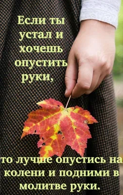 Открытка одинарная - Молитва о здравии - христианские открытки -  Издательский Дом Христофор