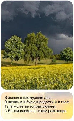 христиане #христианство #Jesus #God #библия #молитва #церковь | Instagram