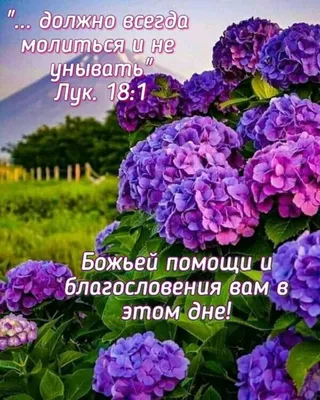 Христианские открытки на каждый день недели с библейским текстом. |  Христианские открытки | Дзен