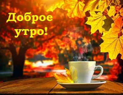 Пин от пользователя Светлана на доске Доброе утро | Осенний пейзаж,  Счастливые картинки, Христианские картинки