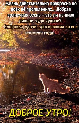Христианская открытка с добрым утром осени на картинках