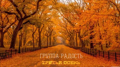 Осенние картинки с пожеланиями - 73 фото