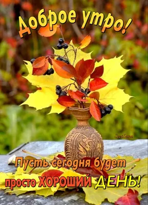 Доброе утро 🌞 | Доброе утро, Христианские картины, Природа
