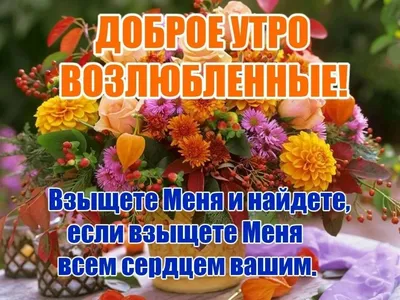 Христианские песни осень| Не грусти - Настя Зави | Песни на жатву 2023 -  YouTube
