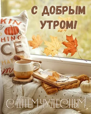 Утро/🍁Осень🍁 | Доброе утро, Христианские картинки, Открытки
