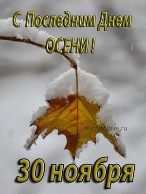 Осенние праздники в России и Санкт-Петербурге - народные, славянские,  христианские, городские, государственные: список, даты, описание