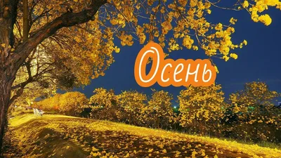 Христианские открытки | Короткая музыкальная открытка молитва Антония  Митрополита Сурожского | Дзен