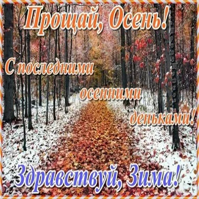 Православные пожелания доброго утра осенью - 77 фото