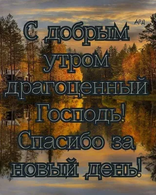 Открытка с именем Христиан Доброго утра и радостного дня. Открытки на  каждый день с именами и пожеланиями.