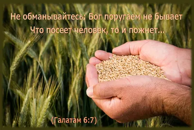 Приближается великий христианский праздник