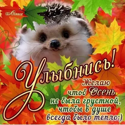 Незаменимая жизнь обычных христиан