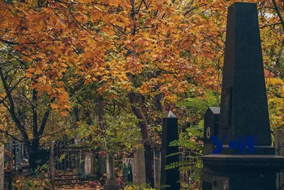 Христианские православные песни. (Протоирей Александр Старостенко.) –  смотреть онлайн все 10 видео от Христианские православные песни. (Протоирей  Александр Старостенко.) в хорошем качестве на RUTUBE
