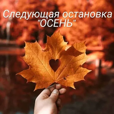Христианский храм золотые купола. Православная церковь осень желтые деревья  foto de Stock | Adobe Stock