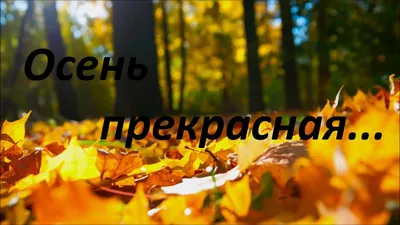 Сборник христианских песен : Free Download, Borrow, and Streaming :  Internet Archive
