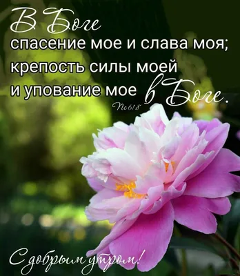 Самое важное – любовь. Современные православные христиане о своей семейной  жизни – скачать книгу fb2, epub, pdf на ЛитРес