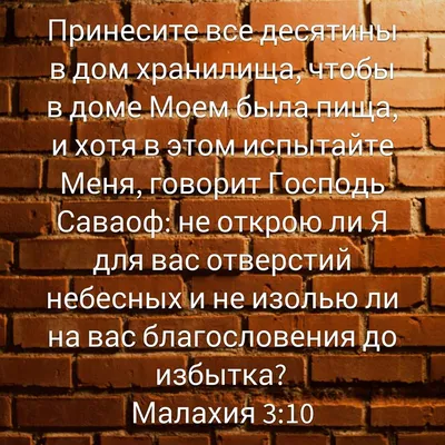 Троица: тайна и откровение. Взгляд на Божью любовь, план спасения и  христианские взаимоотношения - купить книгу с доставкой в интернет-магазине  «Читай-город». ISBN: 978-5-86-847642-6