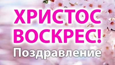 Всех Православных Христиан Кыргызстана поздравляем со Светлым праздником  Пасхи!😇 Пусть в ваших домах будет мир и спокойствие… | Instagram