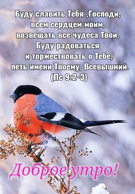 Pin by Nadezhda Blagonya on христианские пожелания | Bible verses, Bible,  Spirit