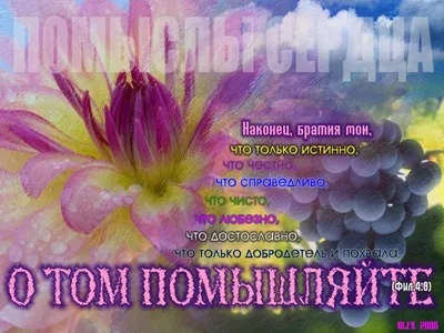 С ДОБРЫМ СЧАСТЛИВЫМ УТРОМ!!!🌷🌷🌷 Христианское пожелание - YouTube