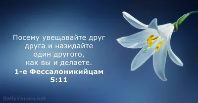 32 Библейские стихи о ободрении - DailyVerses.net