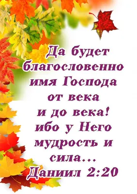 🌈Доброе утро!🍁🍂💦 📖Стих на... - Библия. Погружаясь в Его Слово |  Facebook