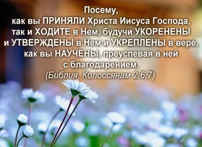 17 Библейские стихи о крещении - DailyVerses.net