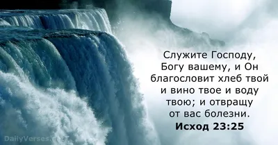 Картинки библия на каждый день (48 фото) » Юмор, позитив и много смешных  картинок