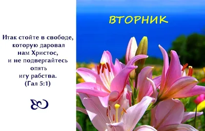 31 Библейские стихи о надежде - DailyVerses.net